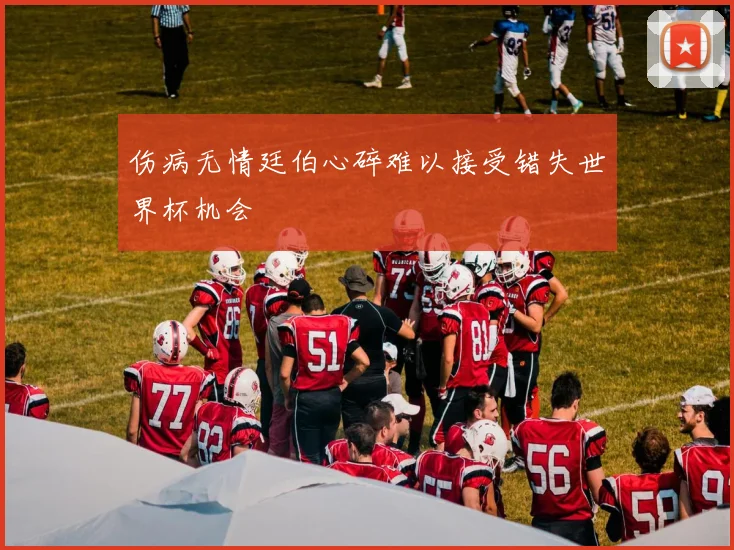 伤病无情廷伯心碎难以接受错失世界杯机会