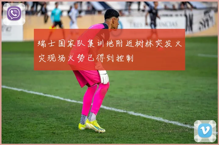瑞士国家队集训地附近树林突发火灾现场火势已得到控制